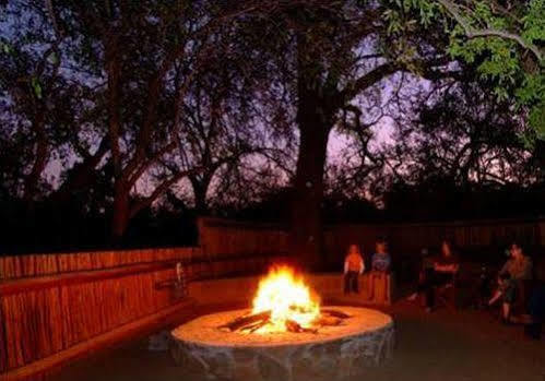 Karongwe Game Reserve Indlovu River Lodge מראה חיצוני תמונה